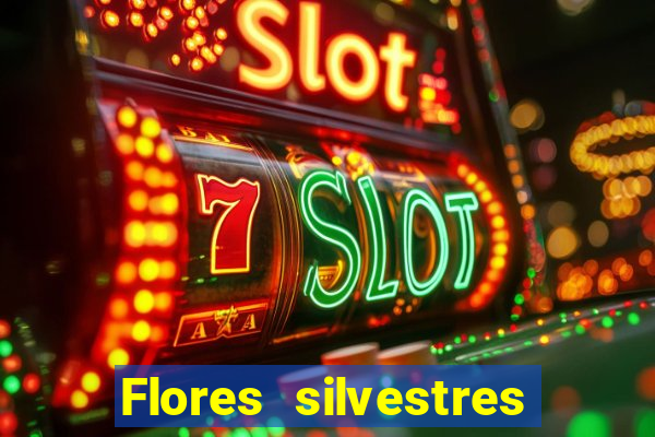 Flores silvestres brasileiras brasileiras flores silvestres nomes e imagens